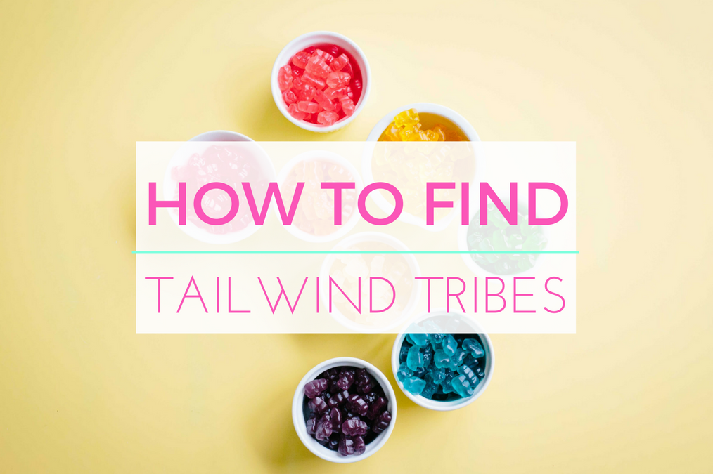 How To Find the Best Tailwind Tribes